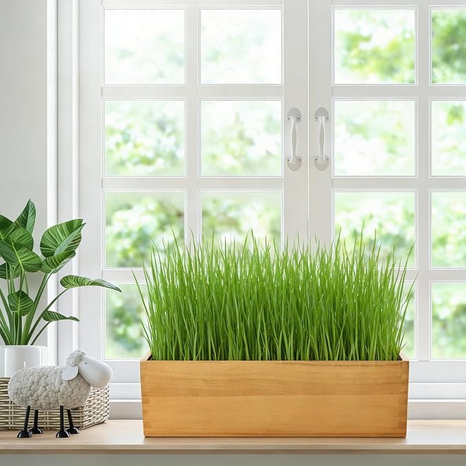 MEESS RCLH Wooden Cat Grass Planter,Cat Grass Kit for Indoor Cats with Anti-Digging Grid, Potting Soil Disks,Watering Bottle and Removable Plastic Liner,Wheat Grass Growing Pot