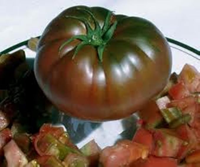 CEMEHA SEEDS - Seeds Black Prince Tomato Determinate Non GMO Vegetable for Planting