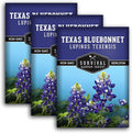 Texas Bluebonnet Seeds for Planting - 3 Packets with Instructions to Plant & Grow Lupinus Texenisis in Your Home Wildflower Garden - Non-GMO Heirloom Variety- Survival Garden Seeds - Drought Resistant