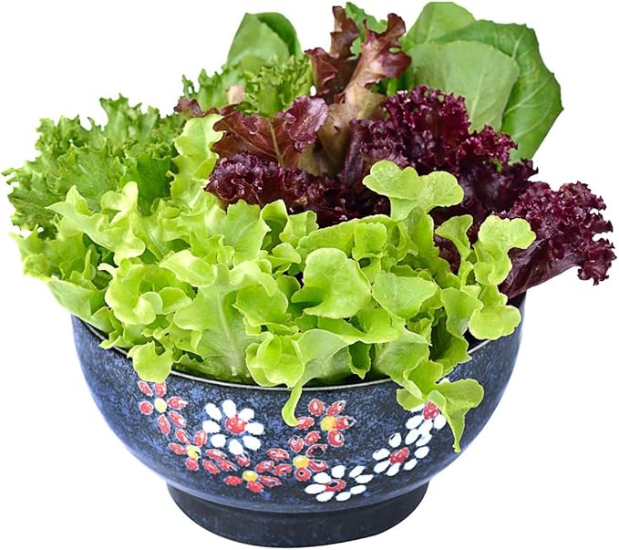 Seeds Lettuce Indoor Mix - 20 Days for Salad - Heirloom Vegetable - GMO Free