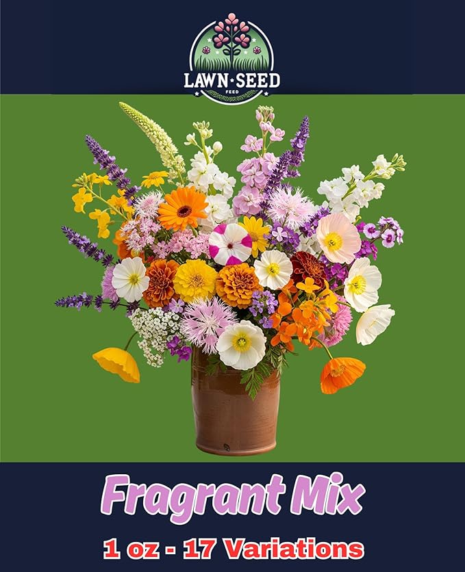 Fragrant Wildflower Mix! (1oz) A Vibrant, Fragrant Blend of Blooms That Attract Butterflies and Bees, Filling Your Garden with Color and Sweet Perfume All Season Long.