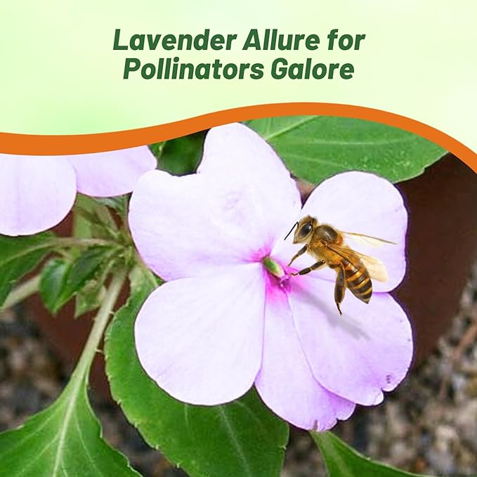 Outsidepride Extreme Lavender Impatiens Flower Seeds - 100 Pcs Annual, Compact & Pollinator Friendly, Impatiens Seeds for Planting w/Vibrant, Abundant Blooms for Shade Gardens & Container Displays