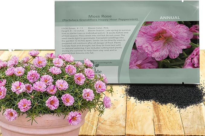 Outsidepride Peppermint Moss Rose Seeds - 250 Pcs Annual, Drought & Heat Tolerant, Pollinator Friendly Ground Cover Seeds for Planting w/Vibrant Blooms & Succulent Foliage, Ideal for Xeriscaping