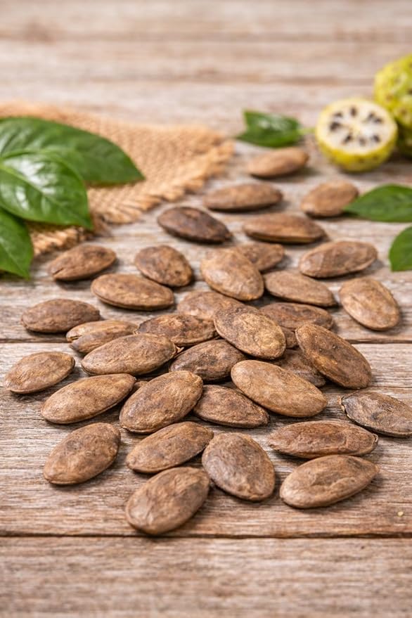 Hunteria Umbellata Seeds (Abere) – 20 Premium African Medicinal Plant Seeds – Natural Herbal Tree Seeds for Home Gardening & Traditional Use