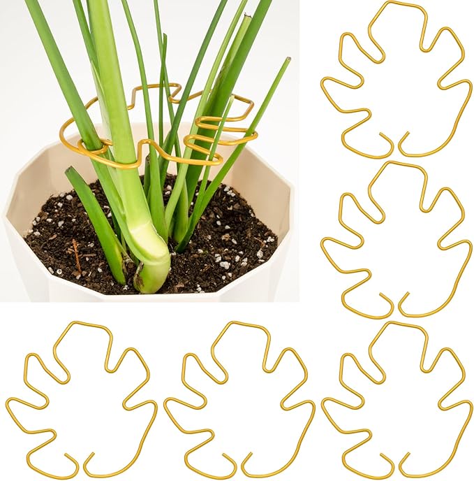 5PCS Monstera Plant Support, Metal Plant Supports Plant Stem Holder Durable Sturdy Plant Stabilizer for Indoor Plants Climbing Plants Outdoor Moss Pole Thriving Growth (Gold)