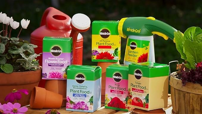 Miracle-GRO 2000422 Plant Food, 1.5-Pound (Tomato Fertilizer), 1.5 lb (Pack of 2)