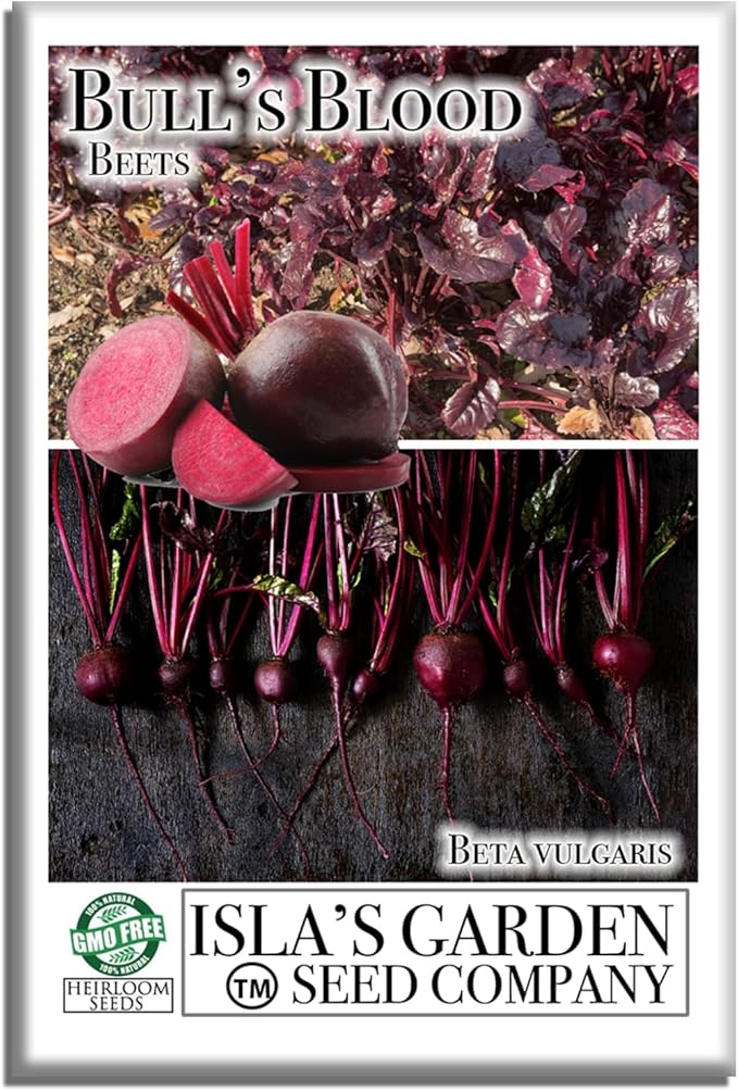 Bull’s Blood Beet Seeds (Beta vulgaris) – 100+ Heirloom Non-GMO Seeds by Isla’s Garden Seeds, Deep Red Roots & Burgundy Greens, Cool-Season Favorite, Dual-Purpose Variety, Great Home Garden Gift
