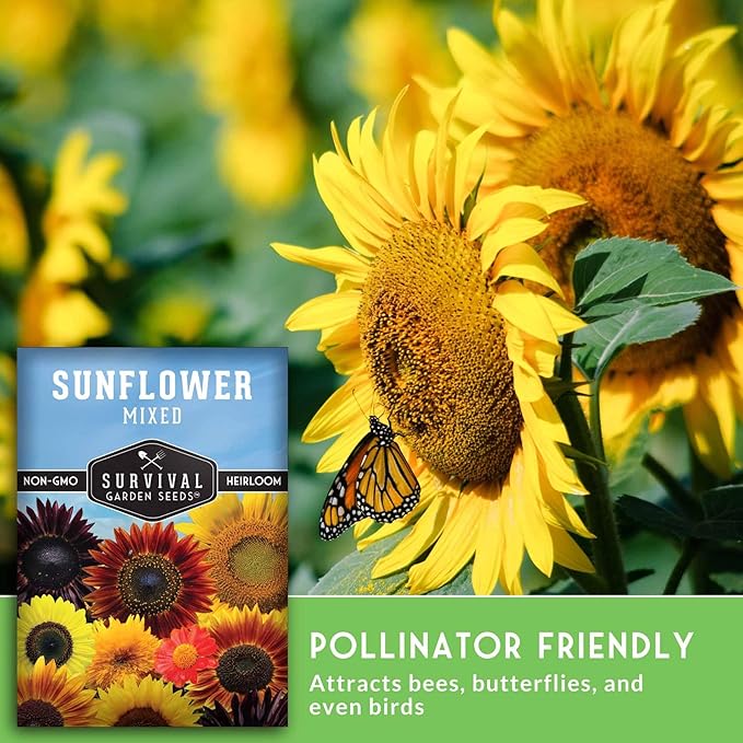 Mixed Sunflower Seeds for Planting | Colorful Blend of Heirloom Varieties for Cut Flowers & Pollinators – Heirloom Non-GMO – Survival Garden Seeds (5 Packs)