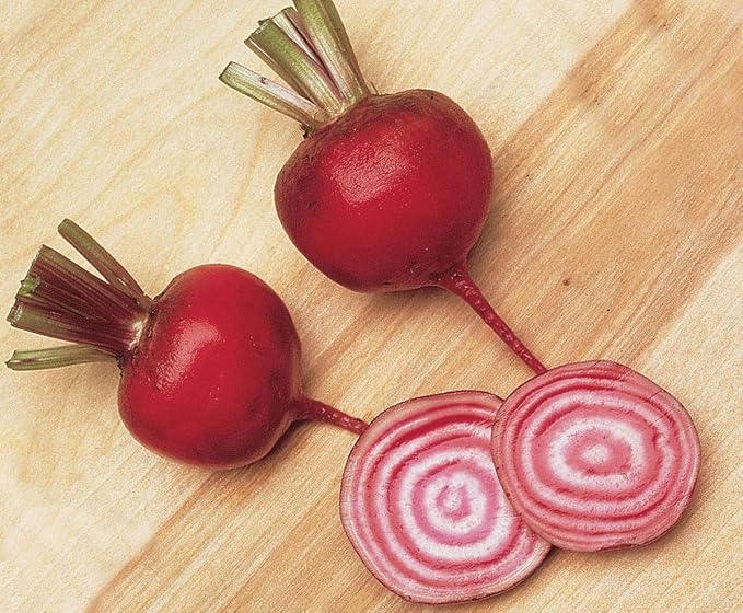 Seeds Vegetable Rare Beet Chioggia (Barbabietola di Chioggia, Bassano) Beetroot White-Pink Rings Heirloom - 100 Seeds