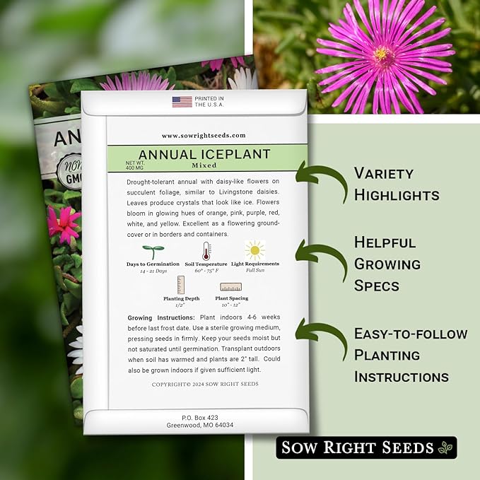 Sow Right Seeds - Ice Plant Flower Seeds for Planting - Non-Invasive Livingstone Daisy, Succulent Like Leaves - Beautiful Flowers to Plant in Your Garden - Non-GMO Heirloom Packet (1)
