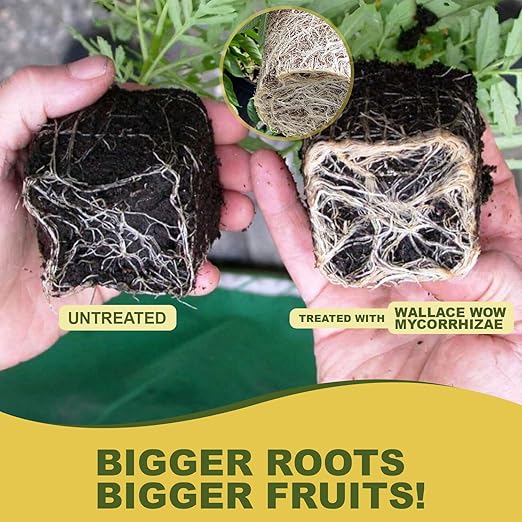 Wallace Organic Wonder Mycorrhizal Inoculant (1 lb) - Mycorrhizal Fungi - Super Concentrated - Fresh Mycorrhizae for Plants, Garden Soil, & Potting Soil - Organic Root Stimulator for Plant Growth