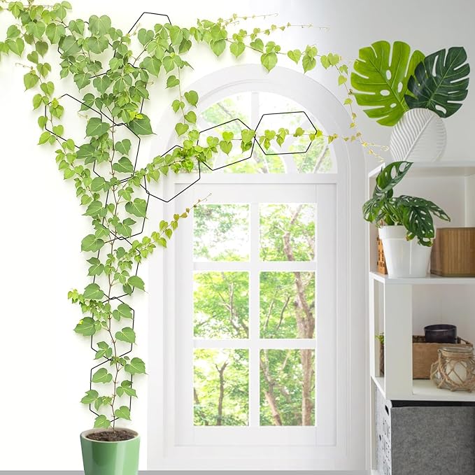 Chain Trellis for Climbing Plants Indoor 6.69 Inch Garden Trellis for Climbing Plants Metal Plant Supports Wall Trellis for Monstera, Pothos, Ivy, Roses Hexagonal Design Black (14 Pcs)