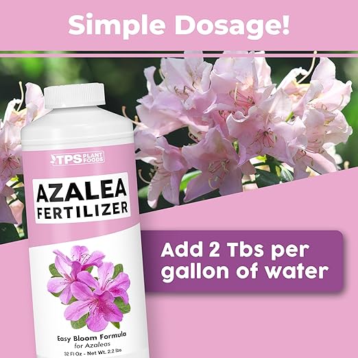 Azalea Fertilizer – Liquid Plant Food for Vibrant Blooms, Rich Green Leaves & Stronger Roots, 32 oz