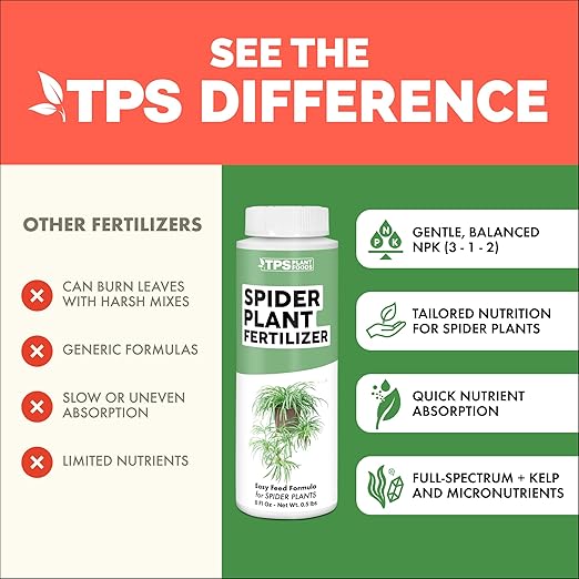 Spider Plant Fertilizer – Liquid Plant Food for Longer Runners, Greener Leaves & Healthy New Growth, 32 oz