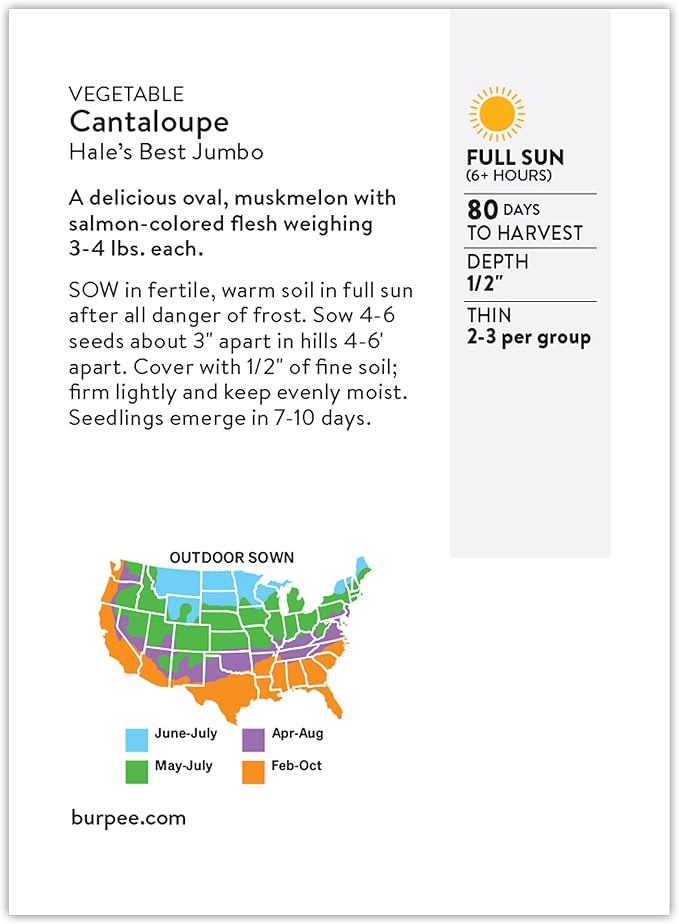 Burpee Heirloom Hale's Best Jumbo Cantaloupe Seeds - Sweet, Aromatic Melon