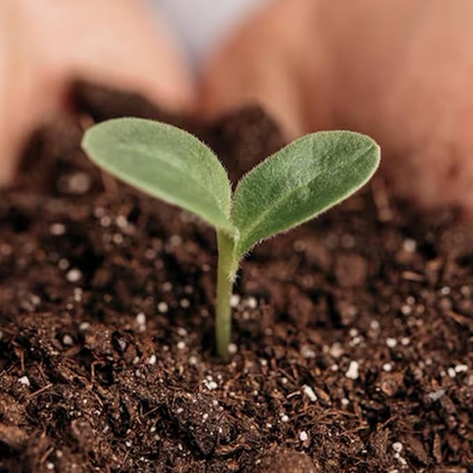 Park Seed Nature’s Aid Garden Soil Inoculant – Enhances Soil Fertility for Beans, Peas, & Vetch, Boosts Nitrogen Fixation for Bigger Vegetable Yields, Granular Formula Treats 150 Feet of Row, 8.7 oz