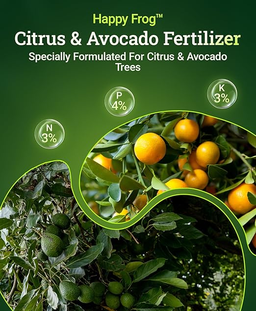 FoxFarm Happy Frog Citrus and Avocado Fertilizer- OMRI Listed Citrus Fertilizer, Slow-Release Nitrogen, Calcium & Sulfur for Citrus & Avocado Trees - 4 lb