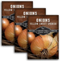 Yellow Sweet Spanish Onion Seeds for Planting – Large Mild Long Day Yellow Onions with High Yield & Sweet Flavor – Heirloom, Non-GMO, Open-Pollinated – Survival Garden Seeds (3 Packs)