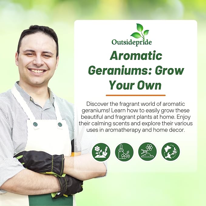 Outsidepride White Geranium Seeds for Planting - 50 Pcs Annual, Heat & Drought Tolerant Flower Seeds with Green Foliage & White Blooms for Pots, Borders & Lush Summer Garden Displays