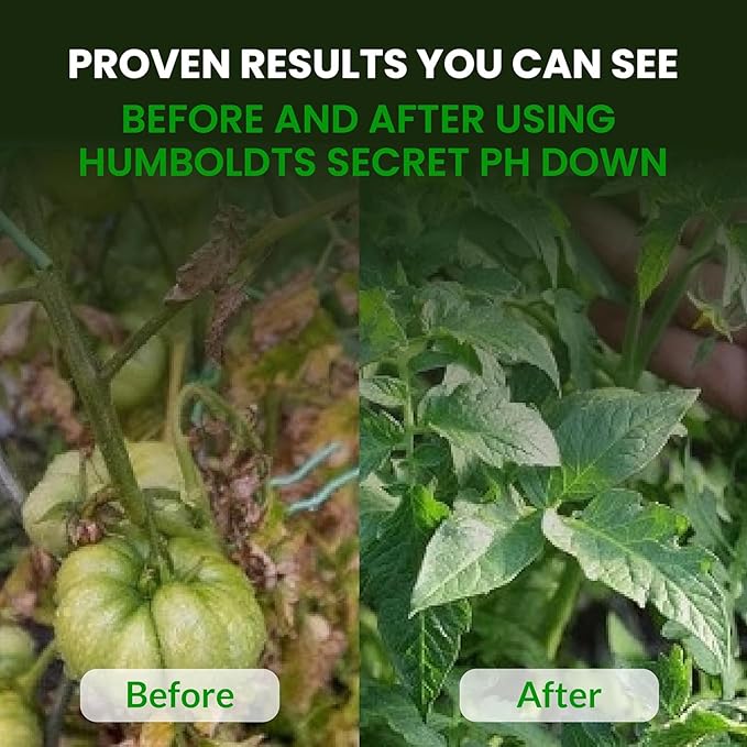 Humboldts Secret Golden Tree: Best Plant Food for Plants & Trees - All-in-One Concentrated Organic Additive - Vegetables, Flowers, Fruits, Lawns, Roses, Tomatoes & More (2 Ounce)