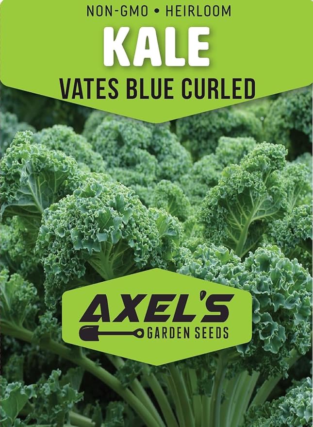 Kale Seeds for Planting - Plant & Grow Heirloom Kale Varieties Home Outdoor Garden – Easy Grow Planting Packet Instructions Included, Great Gardening Gift – 2 Packets of Each Variety
