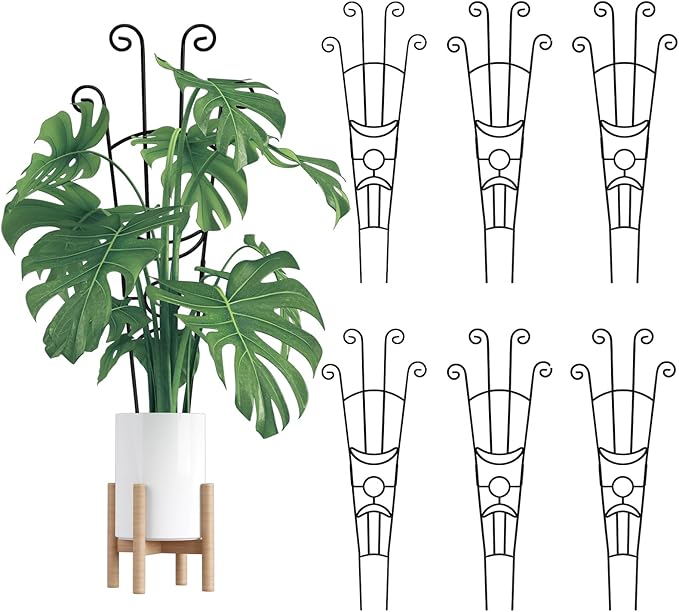 Garvee 6 Pack 30'' Plant Trellis for Climbing Plants Indoor, Plant Climber Support Indoor Outdoor, Rust-Resistant Sturdy Metal Trellis for Potted Plants Ivy Pothos Monstera Hoya Flower Vine