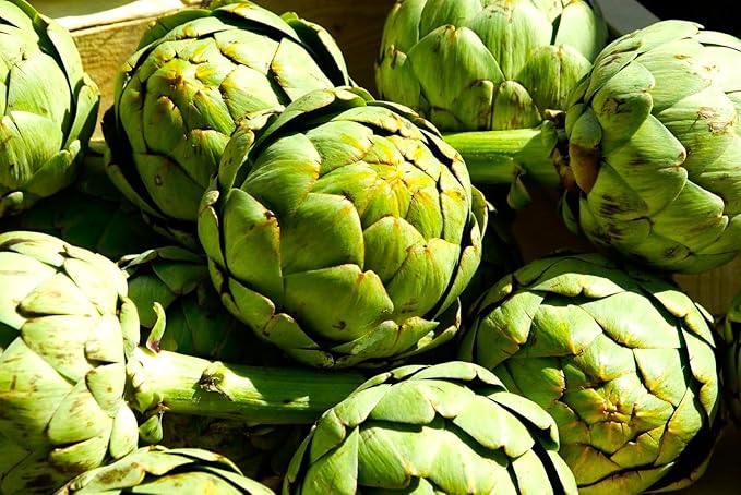 Artichoke Seeds 20 Seeds for Planting Non-GMO