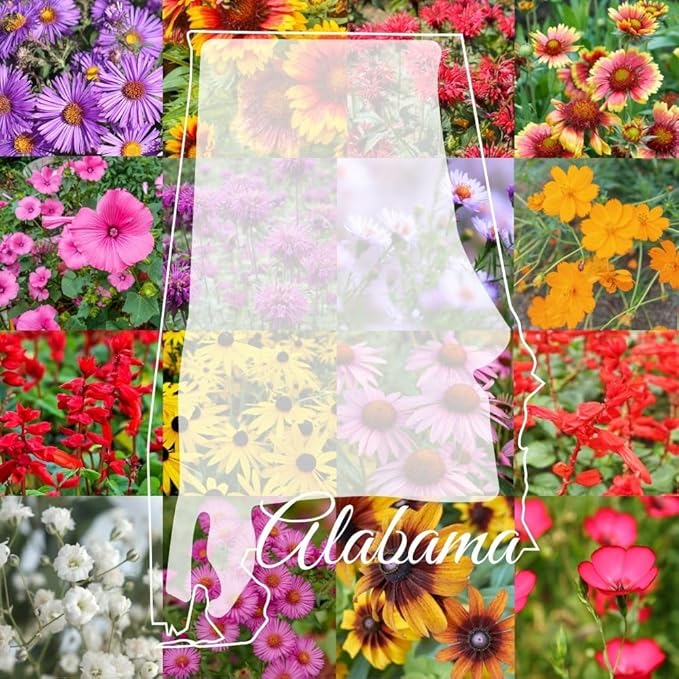 Alabama Bulk Perennial Wildflower Seed Mix 1lb Covers 2,000sq-ft - Attract Pollinators, Multi-Color Blooms - Southeast US Species Plant in Spring/Fall, Earth-Friendly Packaging (1 Pound)