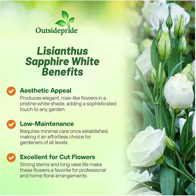 Outsidepride Lisianthus Sapphire White Flower Seeds - 100 Pcs. Annual, Versatile & Low Maintenance, Flower Seeds for Planting Prolific & Vibrant Double Blooms, Great for Cut Flower Arrangements