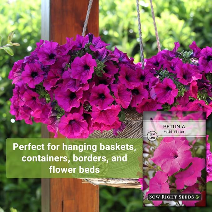 Sow Right Seeds - Petunia Wild Violet Flower Seed for Planting - Beautiful Flowers to Plant in Your Home Garden - Non-GMO Heirloom Seeds - Perfect for Outdoor Hanging Baskets - Great Gardening Gift