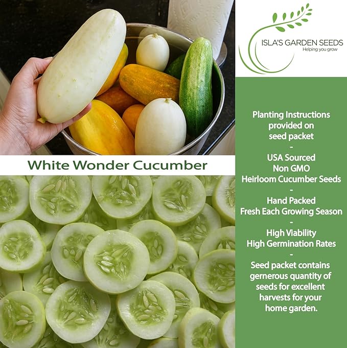 White Wonder Cucumber Seeds – 50+ Heirloom Non-GMO Seeds by Isla’s Garden Seeds, Crisp & Mild Flavor, High-Yield Variety, Perfect for Home Gardens, Easy to Grow, Great for Fresh Eating & Pickling