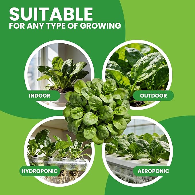 Bloomsdale Spinach Seeds for Planting 960+ Seeds - Non-GMO Heirloom Seeds High Germination Spinach for Indoor Outdoor Home Vegetable Garden - Abundance of Leafy Greens