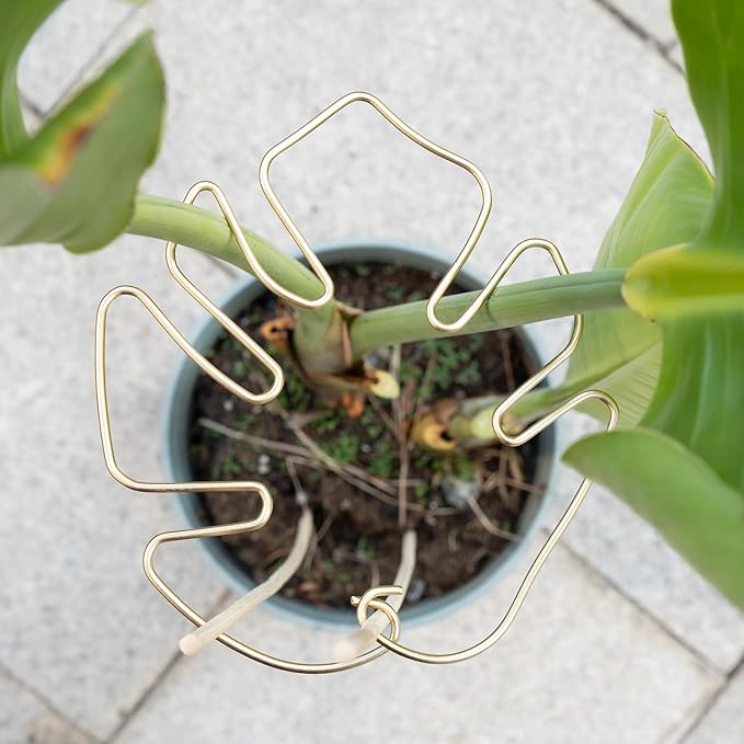 5PCS Plant Stem Support - Durable Monstera Stabilizer Grapple Holder, Unique Design for Climbing Plants, Turtle Shell Bamboo Clamp Set, Ideal Plant Support for Thriving Growth (Gold)