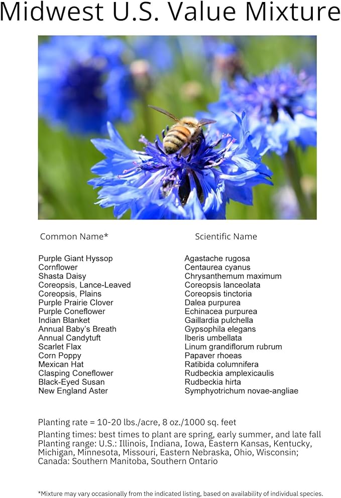 Midwest US Bulk Wildflower Seed Mix 1lb Covers 2,000sq-ft - Attract Pollinators, Multi-Color Blooms - Midwestern US Species Plant in Spring/Fall, Earth-Friendly Packaging (1/4 Pound)