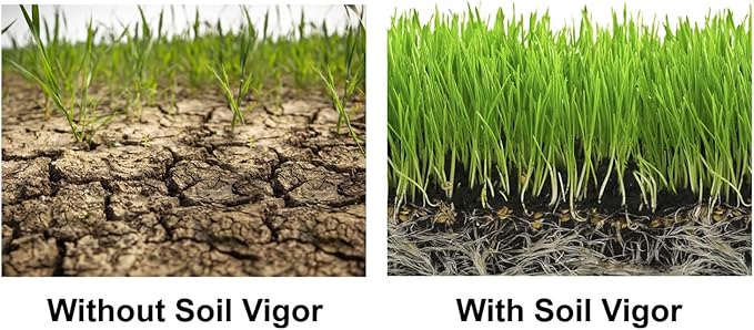 1 Pound Soil Moisture Trap Potassium Polyacrylate Polymers Soil Vigor