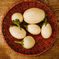 Japanese White Egg - 25 Seeds - Rare Heirloom Eggplant Variety, Non-GMO Heirloom Eggplant Seeds for Planting in The Home Garden, Thresh Seed Company