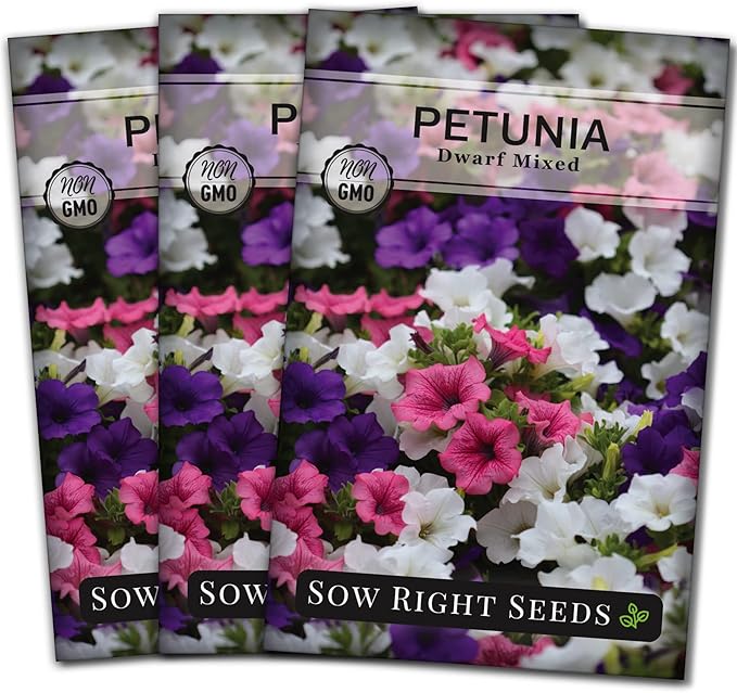Sow Right Seeds - Dwarf Mixed Petunia Seeds to Plant - Full instructions for Planting and Growing a Flower Garden - Non-GMO Heirloom Seeds - Annual Hanging Basket Flower - Wonderful Gardening Gift (3)