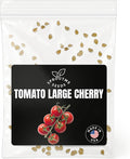 Fall & Winter Large Cherry Tomato Seeds for Indoor & Outdoor Growing – 50+ Non-GMO Heirloom Sweet Tomatoes, High Germination (Solanum lycopersicum)