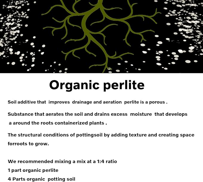 MDPQT 5 Qt Professional Grade Perlite (5 Qt, Perlite)