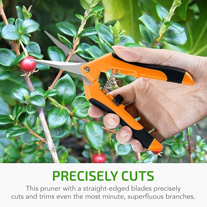 iPower 6.5 Inch Gardening Scissors Hand Pruner Pruning Shear with Straight Stainless Steel Blades, Orange, 2-Pack