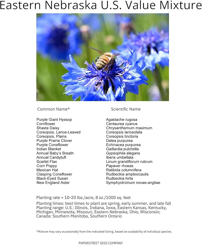 Eastern Nebraska Bulk Perennial Wildflower Seed Mix 1lb Covers 2,000sq-ft - Attract Pollinators, Multi-Color Blooms - Midwest US Species Plant in Spring/Fall - Earth-Friendly Packaging (1/4 Pound)
