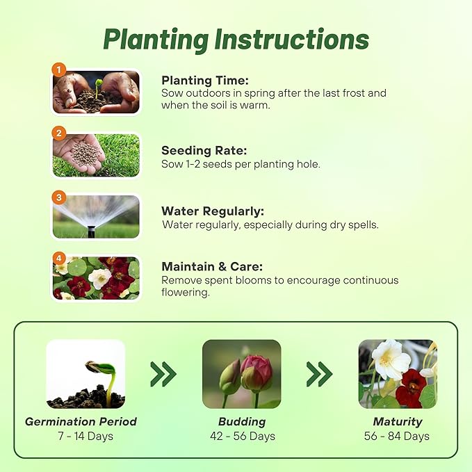 Outsidepride Single Night & Day Nasturtium Seeds - 400 Pcs Annual, Easy to Grow & Versatile, Flower Seeds for Planting Vibrant Blooms, Ideal for Gardens, Borders, and Pollinator Gardens