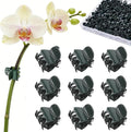 100 Pcs Standard Orchid Clips - 0.7-inch Max Opening, Dark Green Plant Support Clips, Gentle Hold with No Damage for Phalaenopsis and Small-Medium Stems