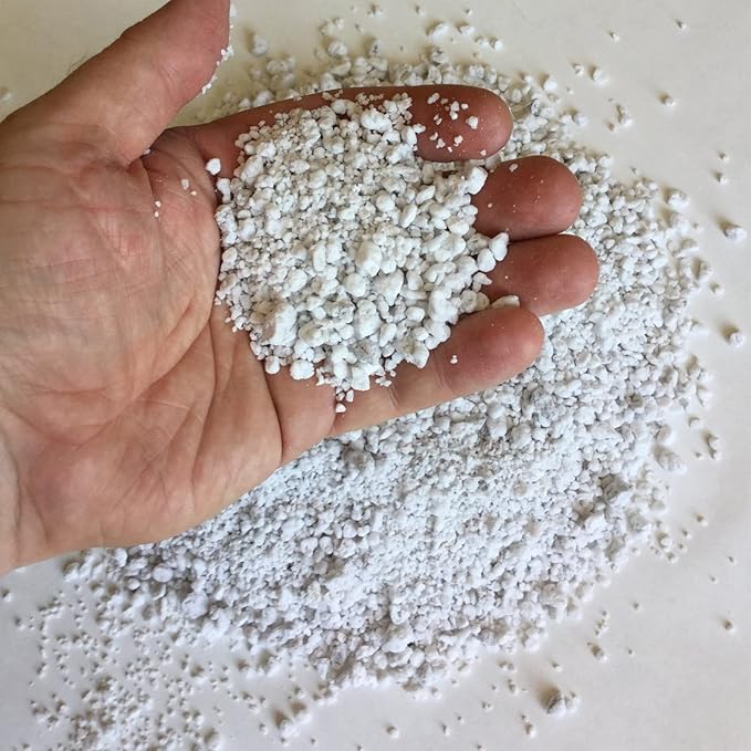 Organic Perlite for Plants, Soil Amendment for Enhanced Drainage and Growth, Ideal for Potting Mixes (10 Quart)