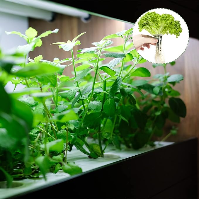 Tisohugo 80 Pack Grow Sponges, Seed Pods Replacement Root Growth Sponges Compatible with AeroGarden, Moldy-Free, Kit with 10 Pod Labels for Hydroponic Indoor Garden System