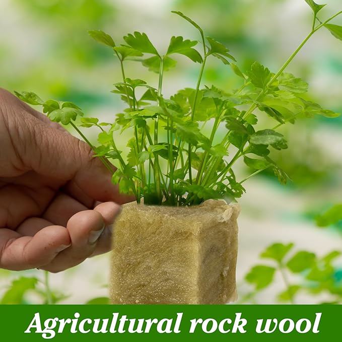 252 Pieces Rockwool Cubes for Hydroponics 1.5'' Rock Wool Planting Cubes Rockwool Starter Plugs Blocks with 20 Plant Name Tags for Soilless Cultivation, Seedlings Cuttings Plant Supplies