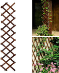 Expandable Garden Trellis, 13" x 68" Thickened Wooden Lattice Trellis for Climbing Plants Outdoor Ivy Vine Rose Clematis for Garden Fence Wall Patio Room Decor (1)