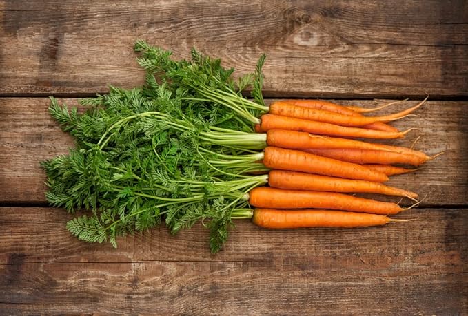 250 Tendersweet Carrot Seeds for Planting - Heirloom and Non-GMO Carrot Seeds,Vegetable Seeds for Planting Outdoor Home Gardens,Planting Instructions Included
