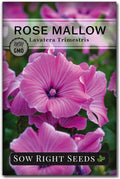 Sow Right Seeds - Rose Mallow Hibiscus Seeds for Planting - Non-GMO Heirloom Packet with Instructions to Grow - Tropical and Exotic Annual Tree Mallow - Blushing Rouge and Scarlet Blooms (1)