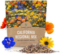 California Wildflower Mixture - Bulk 1 Ounce Packet - Over 7,000 Native Seeds - Open Pollinated and Non GMO